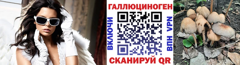 Псилоцибиновые грибы Psilocybine cubensis  Омутнинск 